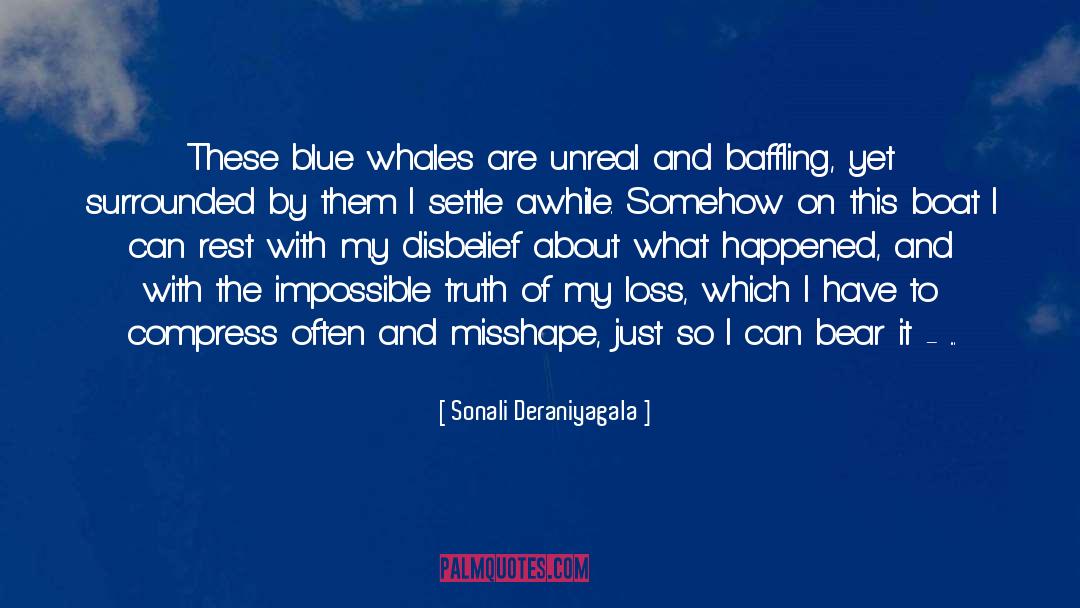 Sonali Deraniyagala Quotes: These blue whales are unreal