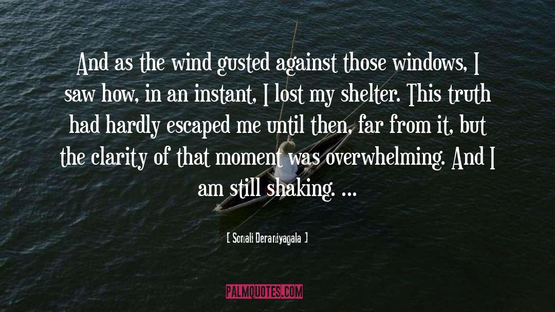 Sonali Deraniyagala Quotes: And as the wind gusted