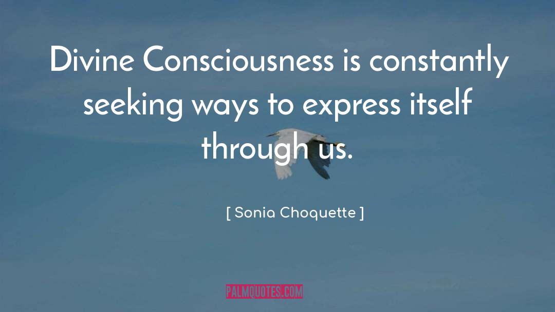 Sonia Choquette Quotes: Divine Consciousness is constantly seeking