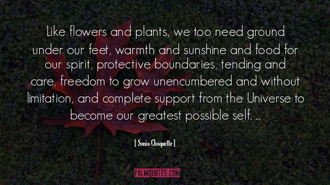 Sonia Choquette Quotes: Like flowers and plants, we