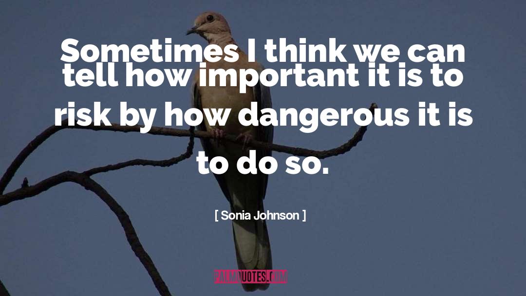 Sonia Johnson Quotes: Sometimes I think we can