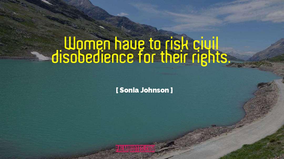 Sonia Johnson Quotes: Women have to risk civil