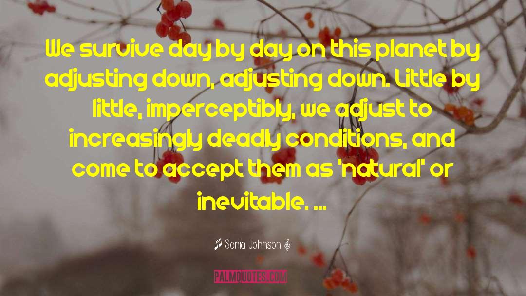 Sonia Johnson Quotes: We survive day by day