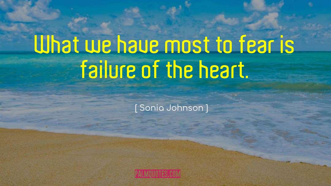 Sonia Johnson Quotes: What we have most to