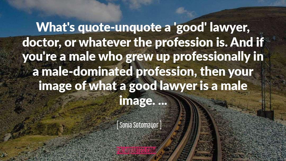 Sonia Sotomayor Quotes: What's quote-unquote a 'good' lawyer,