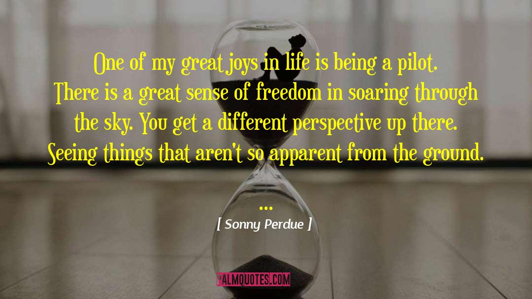 Sonny Perdue Quotes: One of my great joys