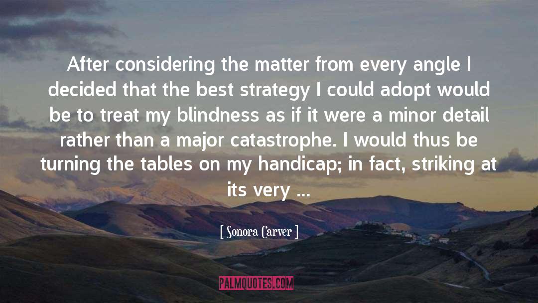 Sonora Carver Quotes: After considering the matter from