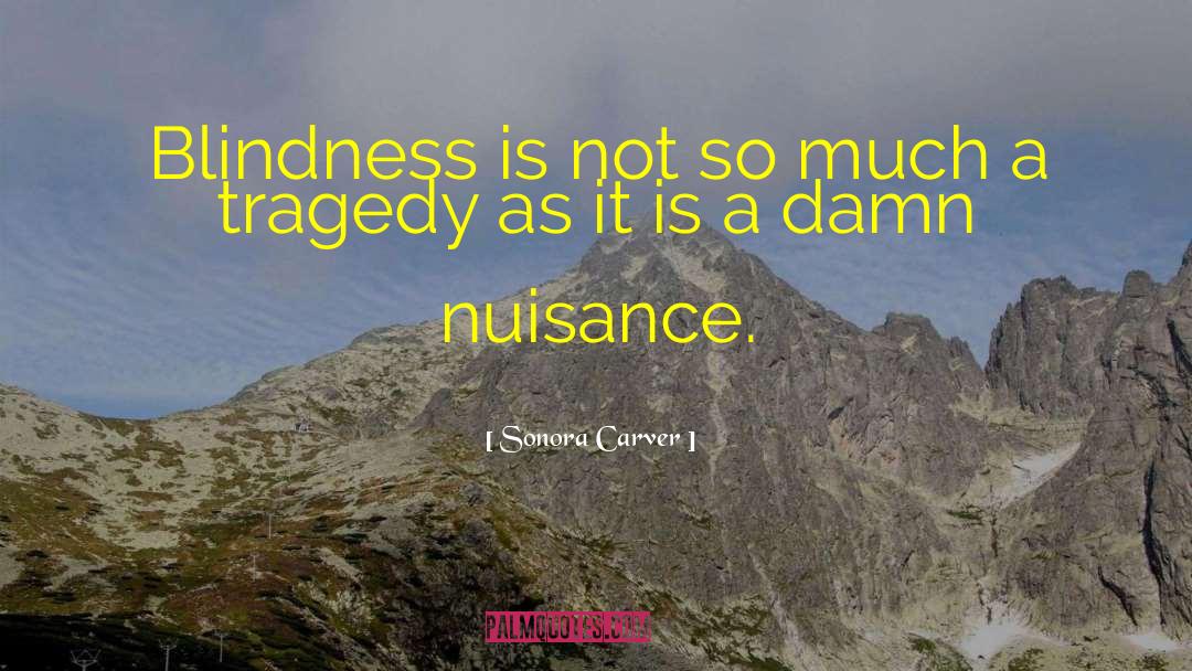 Sonora Carver Quotes: Blindness is not so much