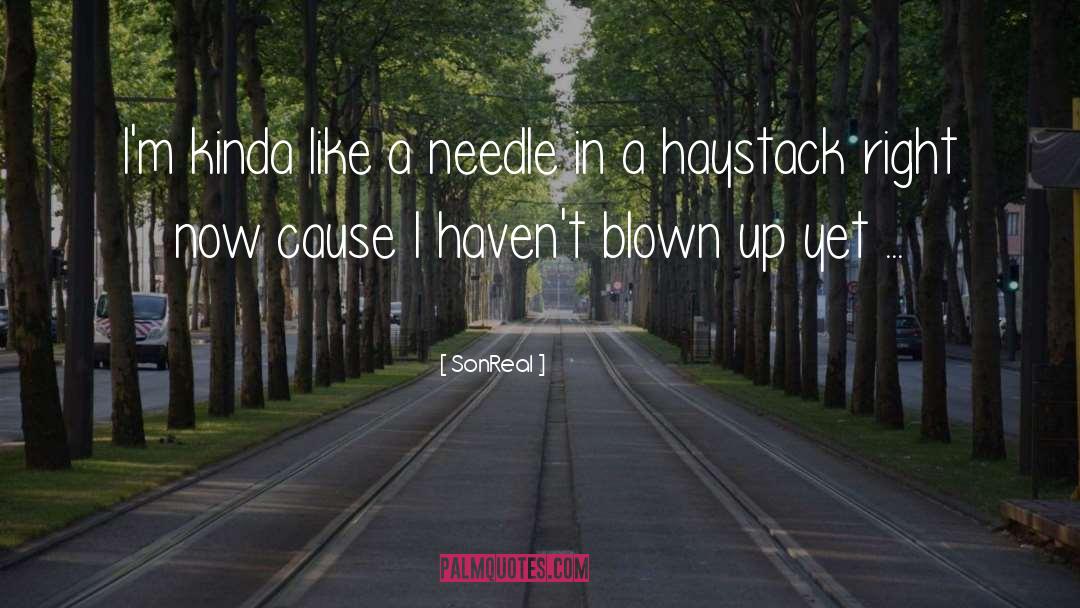 SonReal Quotes: I'm kinda like a needle