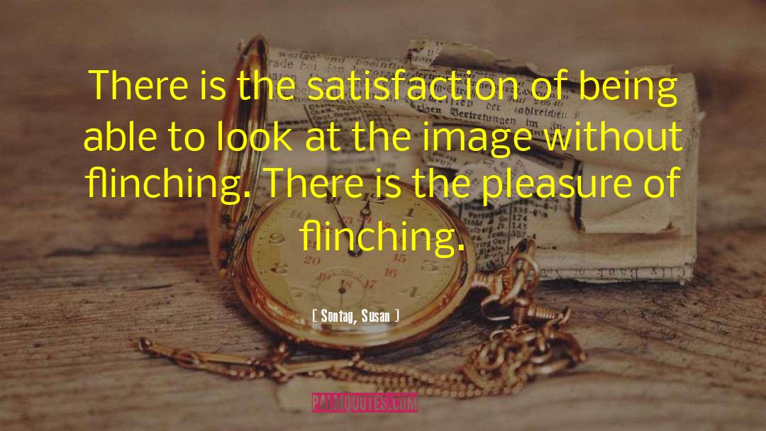 Sontag, Susan Quotes: There is the satisfaction of