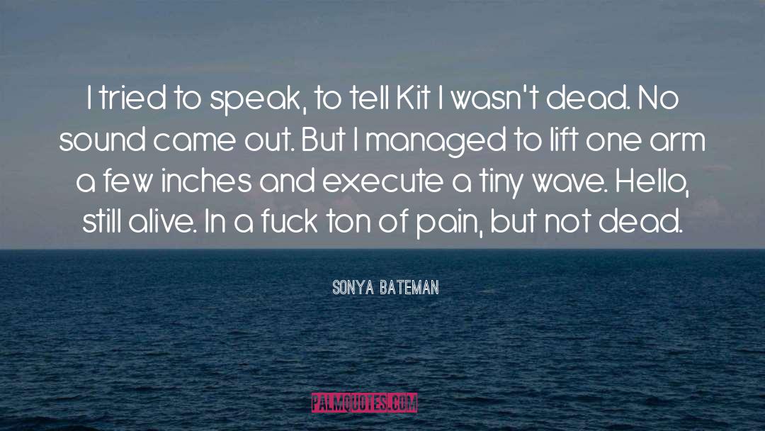 Sonya Bateman Quotes: I tried to speak, to