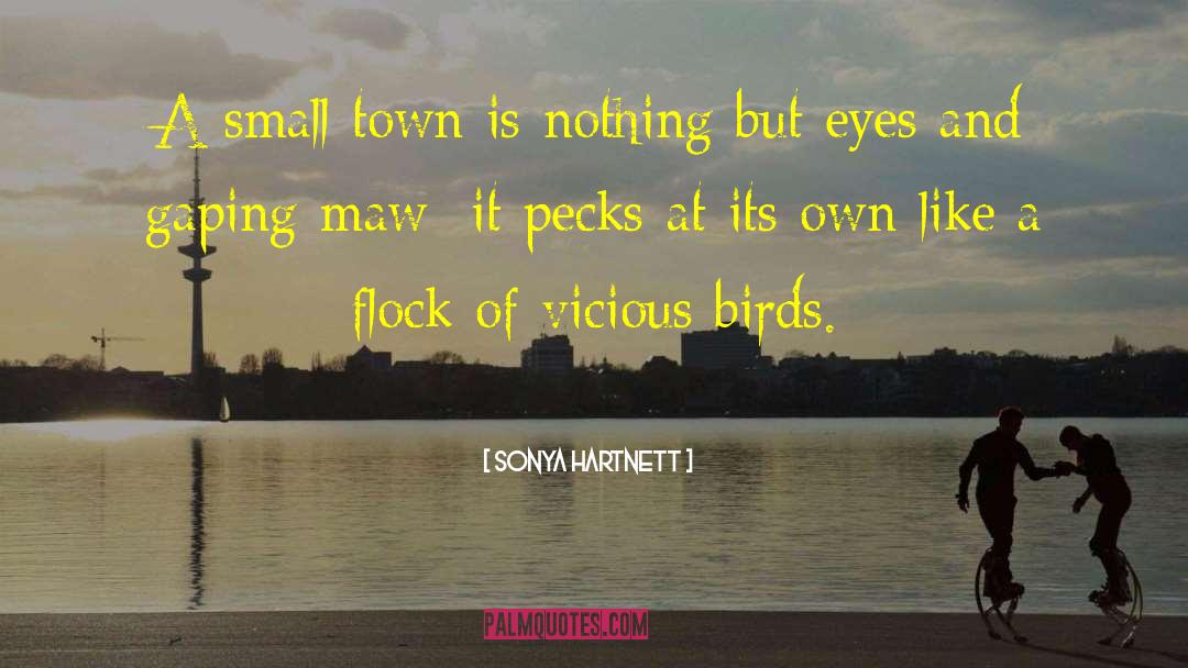 Sonya Hartnett Quotes: A small town is nothing