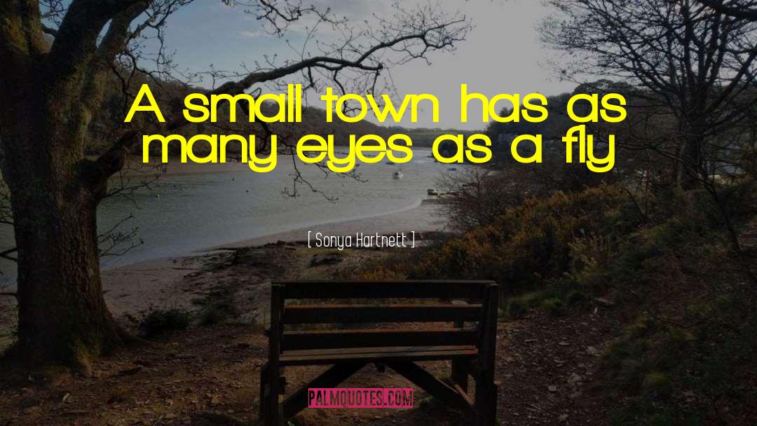 Sonya Hartnett Quotes: A small town has as