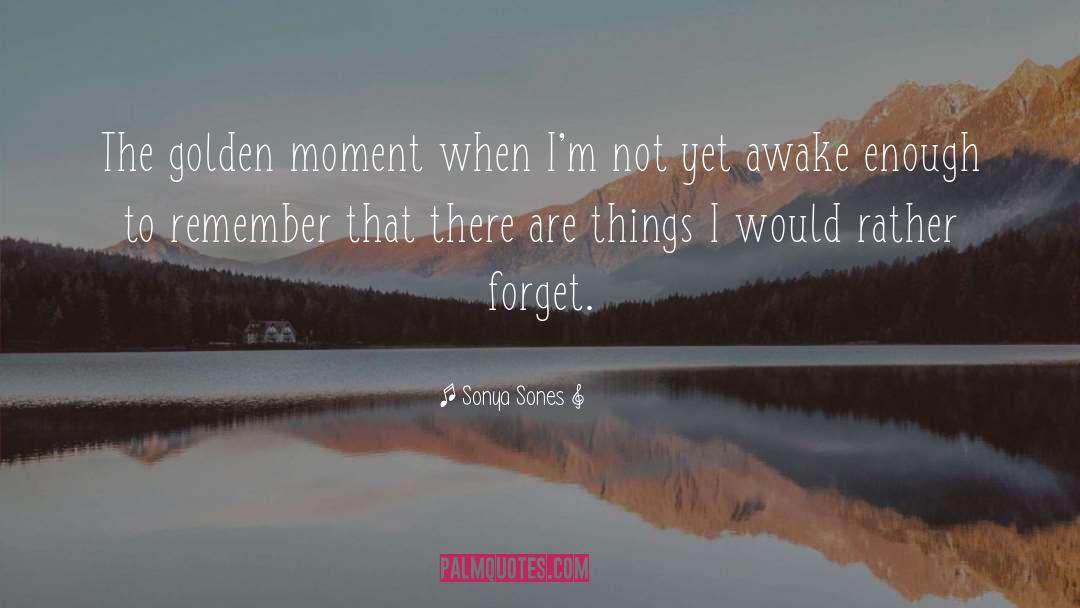 Sonya Sones Quotes: The golden moment when I'm