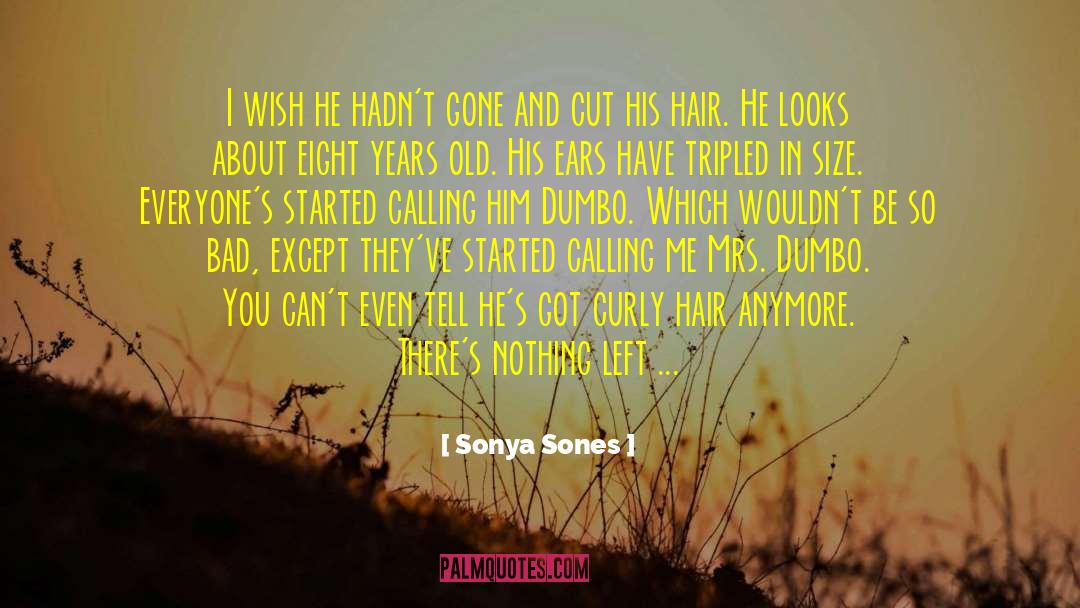 Sonya Sones Quotes: I wish he hadn't gone