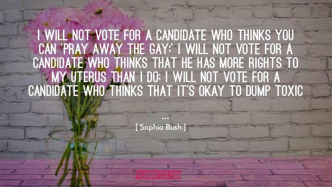 Sophia Bush Quotes: I will not vote for