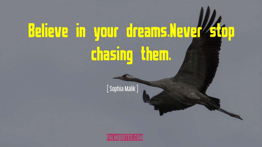 Sophia Malik Quotes: Believe in your dreams.Never stop