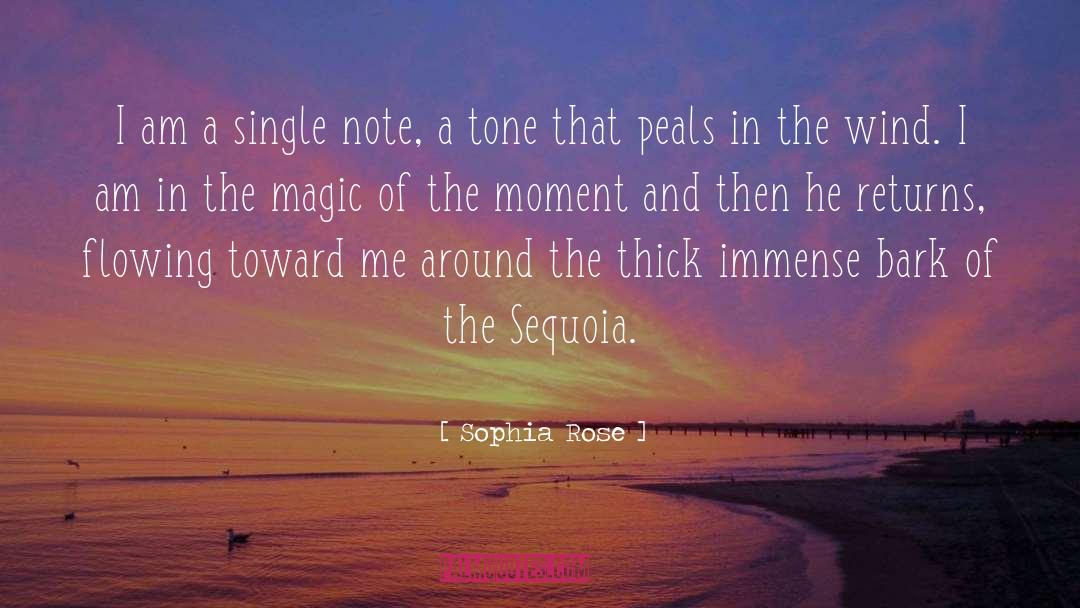 Sophia Rose Quotes: I am a single note,