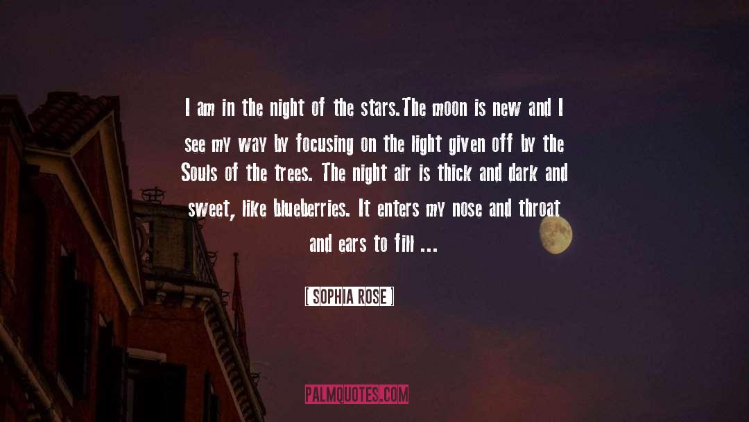 Sophia Rose Quotes: I am in the night