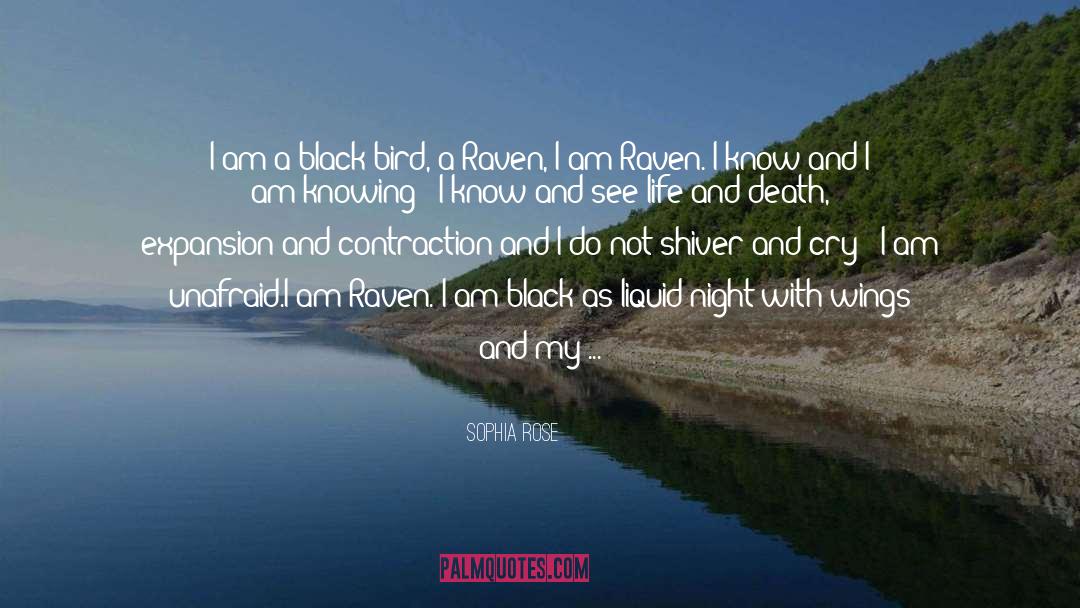 Sophia Rose Quotes: I am a black bird,