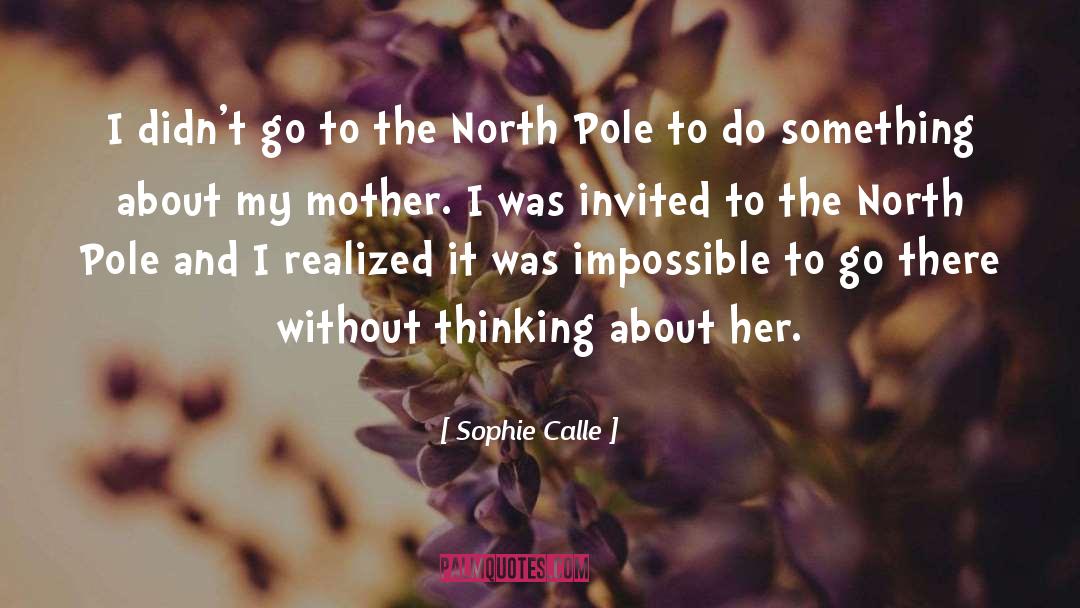 Sophie Calle Quotes: I didn't go to the