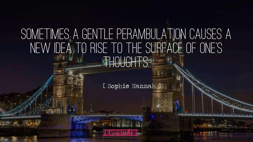 Sophie Hannah Quotes: Sometimes a gentle perambulation causes