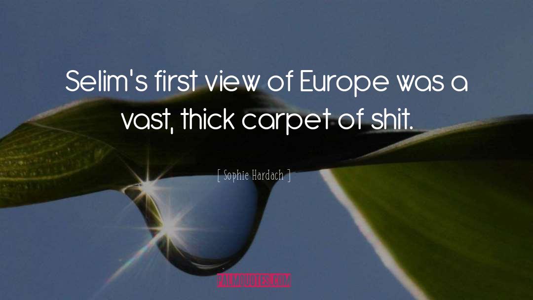 Sophie Hardach Quotes: Selim's first view of Europe