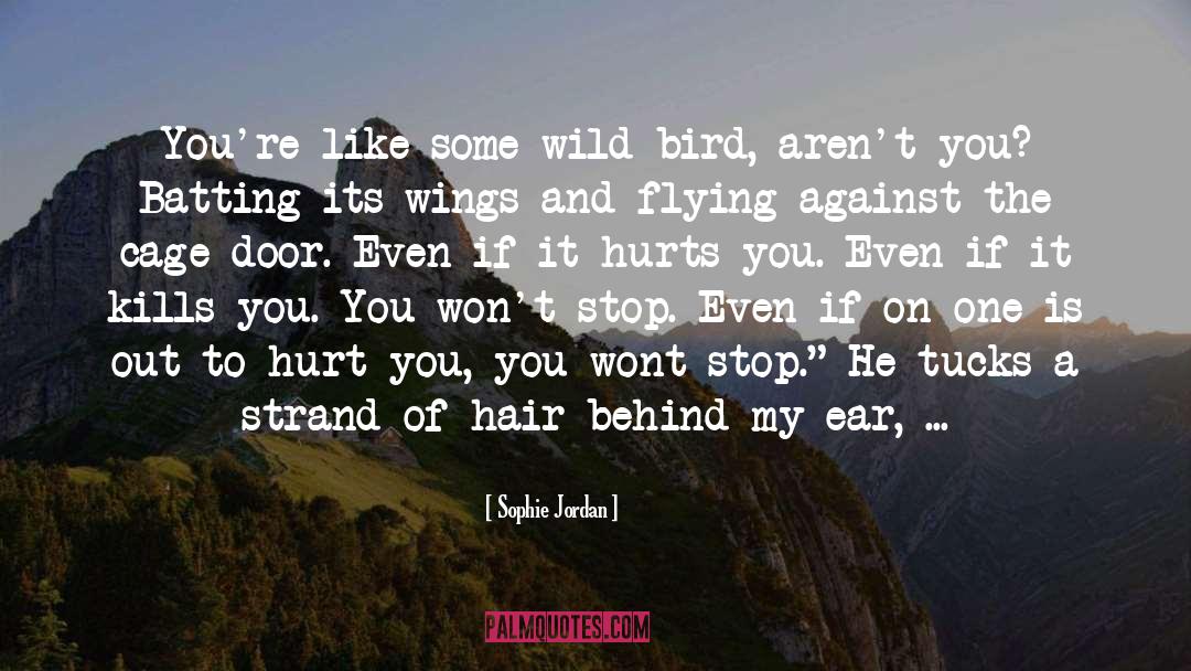 Sophie Jordan Quotes: You're like some wild bird,