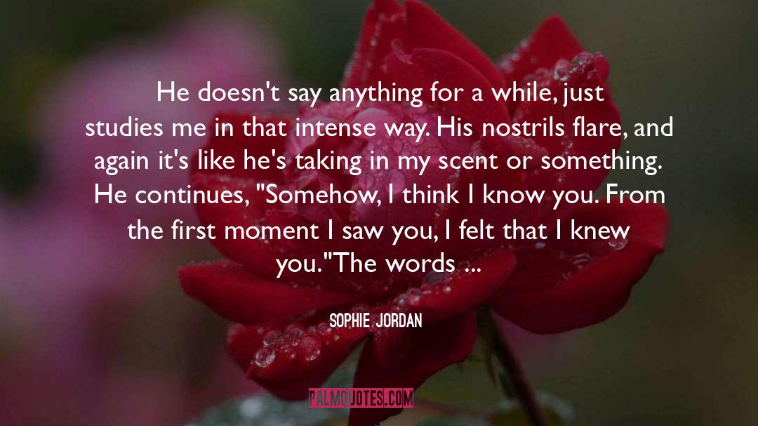 Sophie Jordan Quotes: He doesn't say anything for