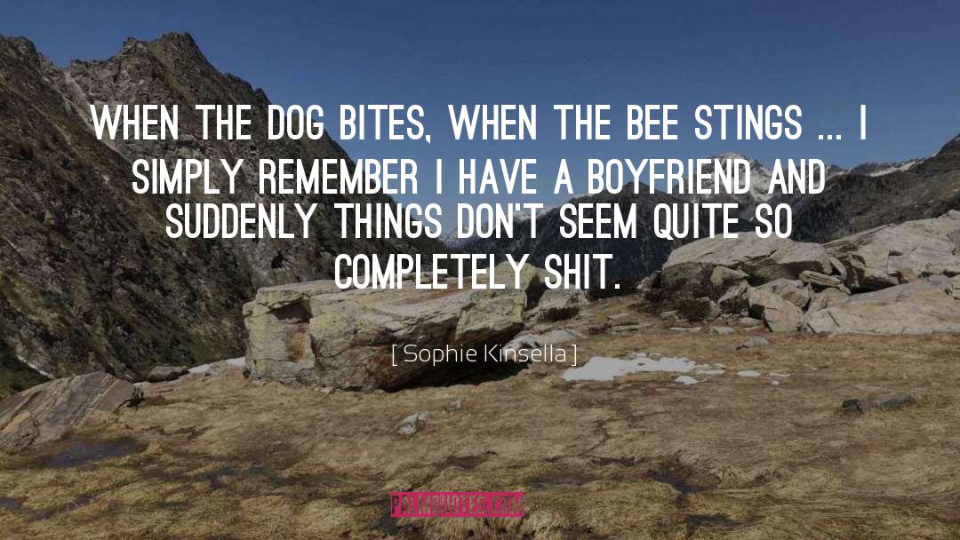 Sophie Kinsella Quotes: When the dog bites, when