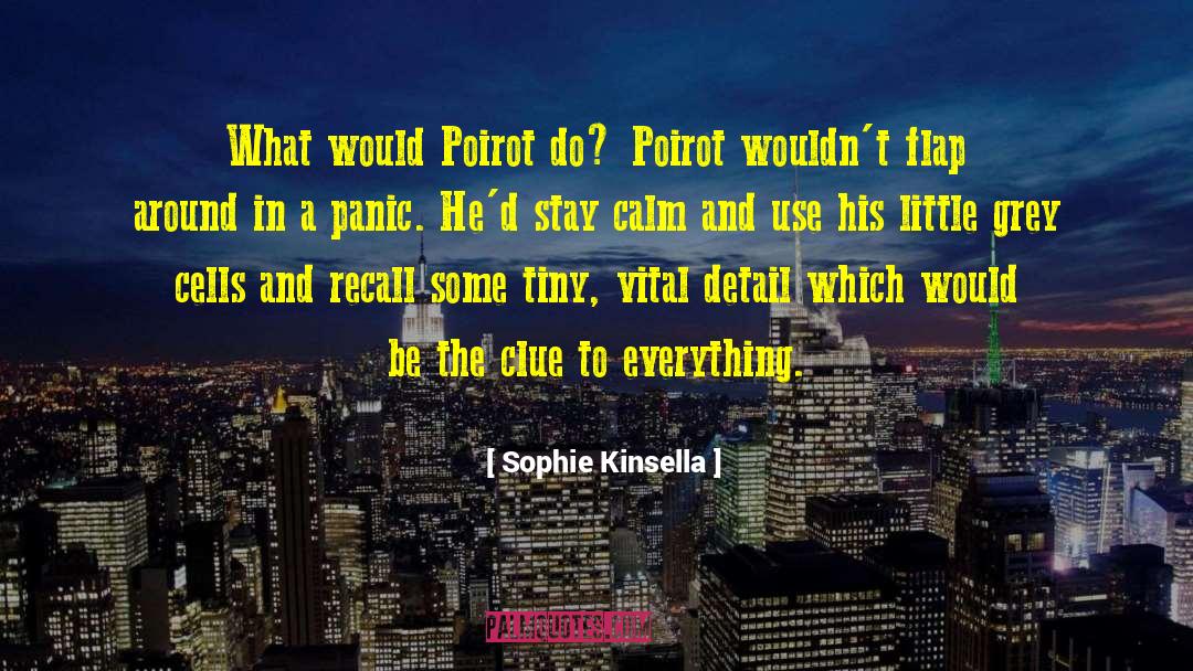 Sophie Kinsella Quotes: What would Poirot do? Poirot