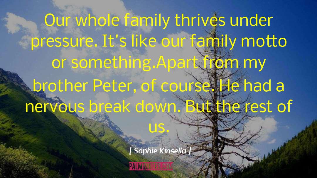 Sophie Kinsella Quotes: Our whole family thrives under