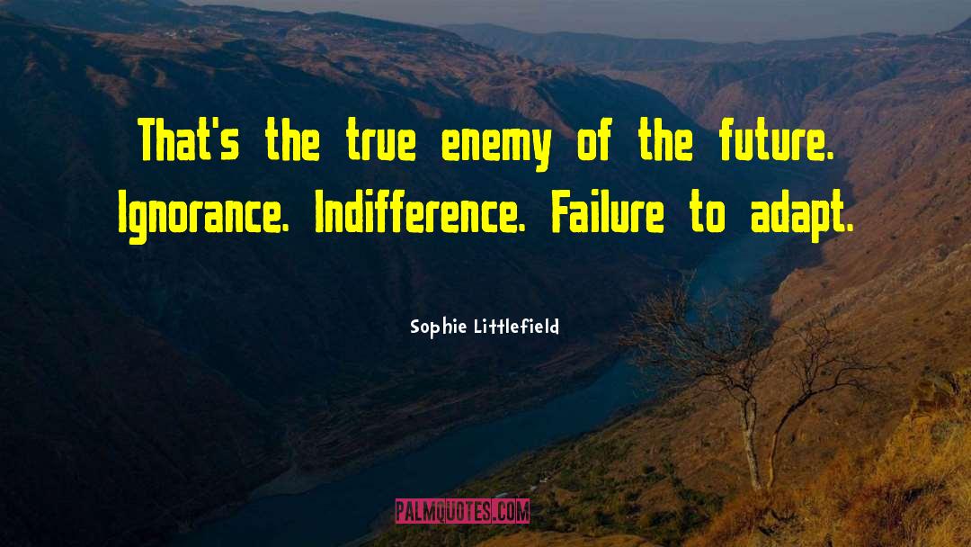 Sophie Littlefield Quotes: That's the true enemy of