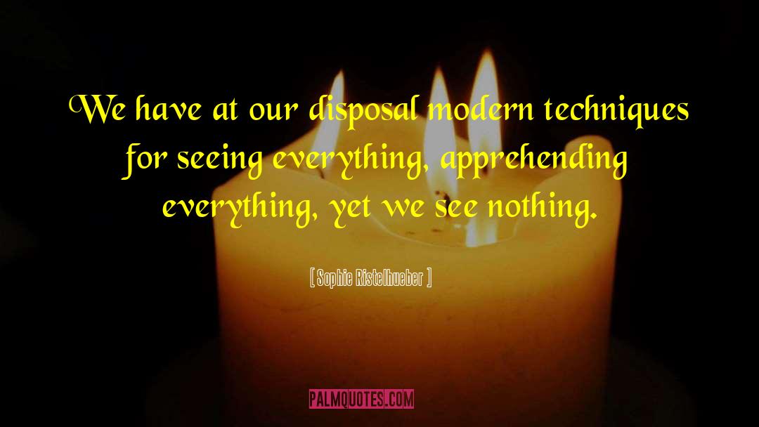 Sophie Ristelhueber Quotes: We have at our disposal