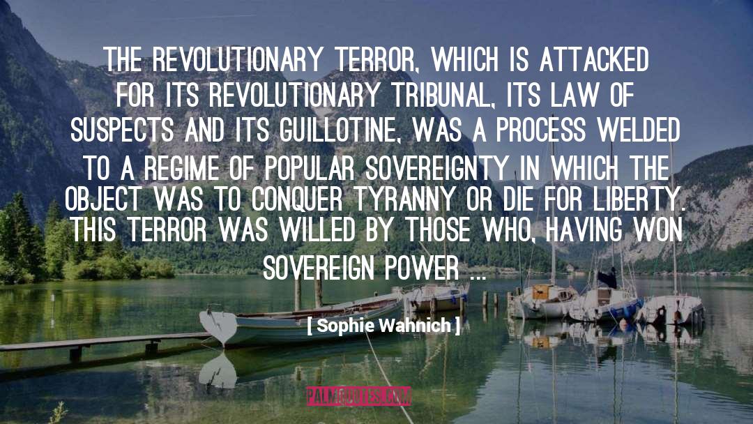 Sophie Wahnich Quotes: The revolutionary Terror, which is