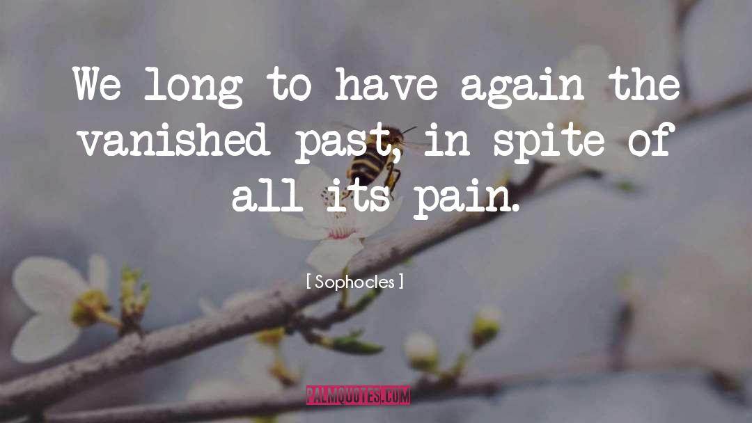 Sophocles Quotes: We long to have again