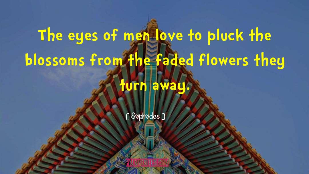 Sophocles Quotes: The eyes of men love