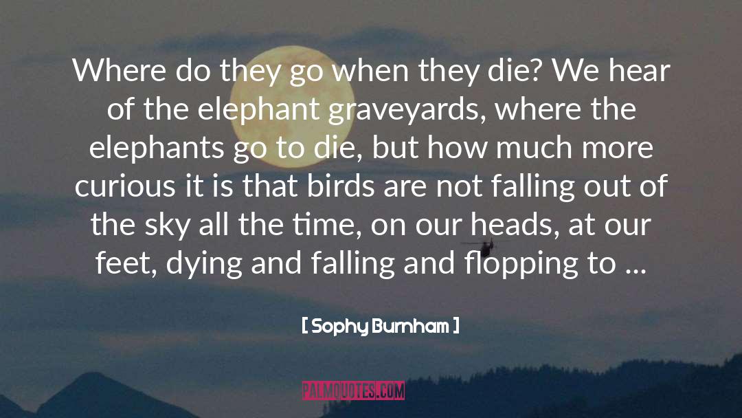 Sophy Burnham Quotes: Where do they go when