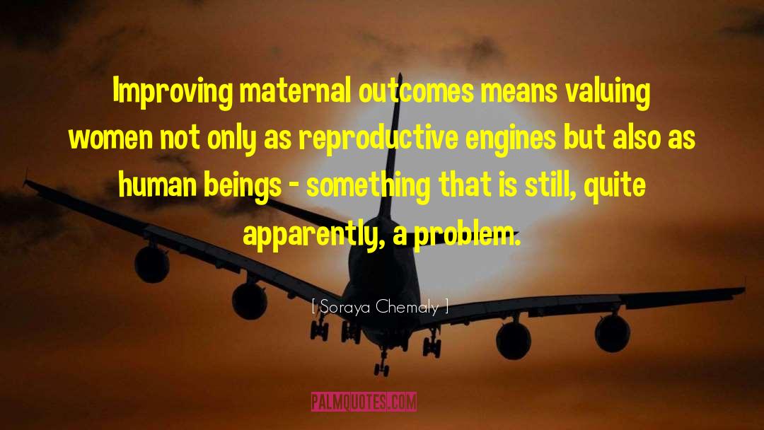 Soraya Chemaly Quotes: Improving maternal outcomes means valuing