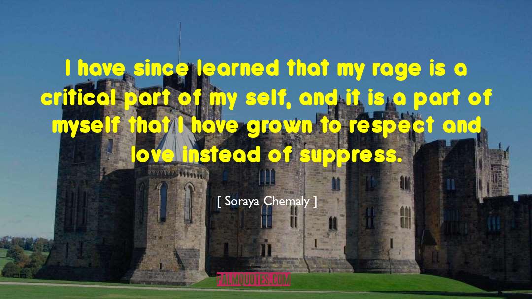 Soraya Chemaly Quotes: I have since learned that