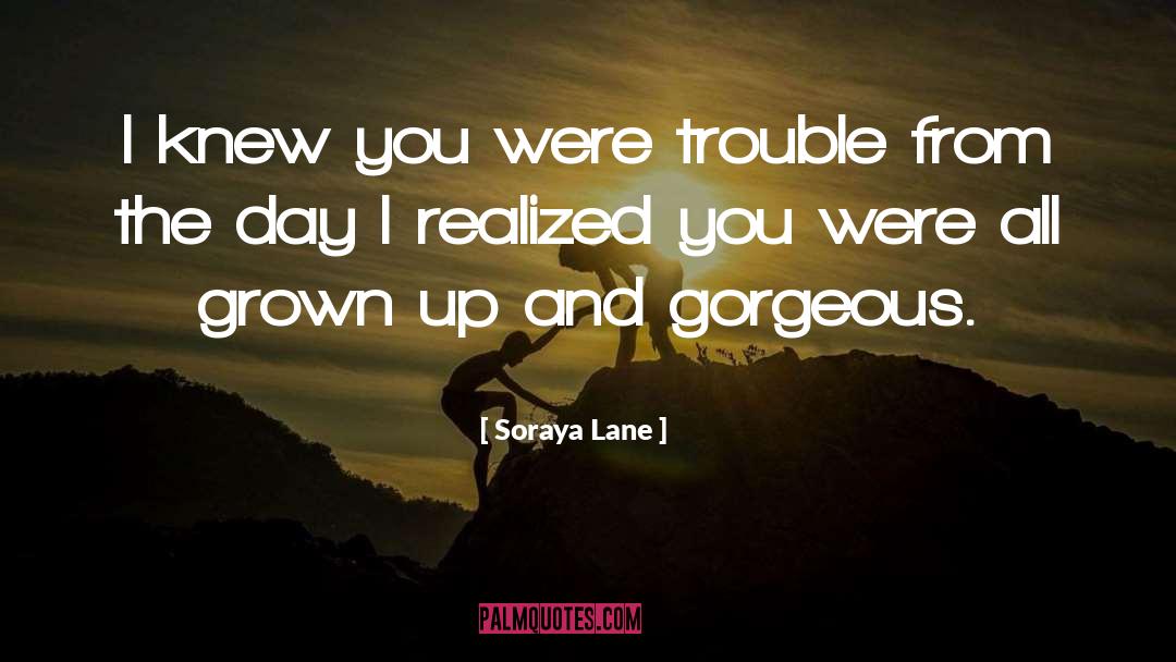 Soraya Lane Quotes: I knew you were trouble