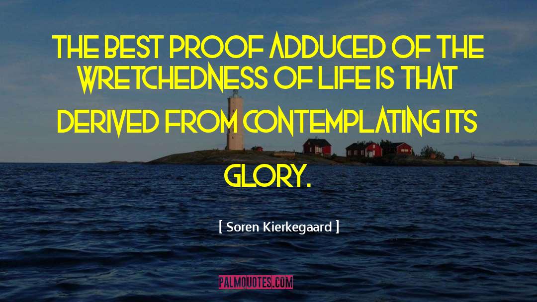 Soren Kierkegaard Quotes: The best proof adduced of