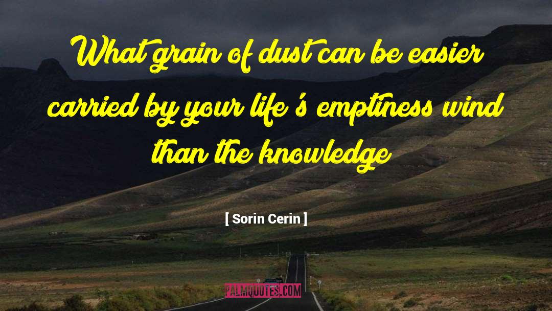 Sorin Cerin Quotes: What grain of dust can