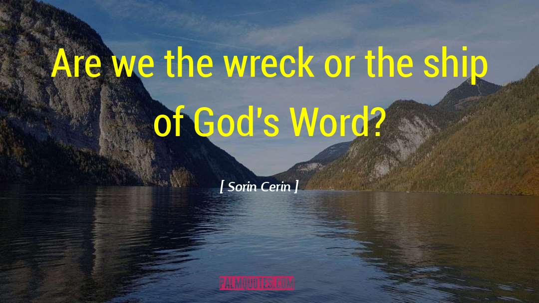 Sorin Cerin Quotes: Are we the wreck or