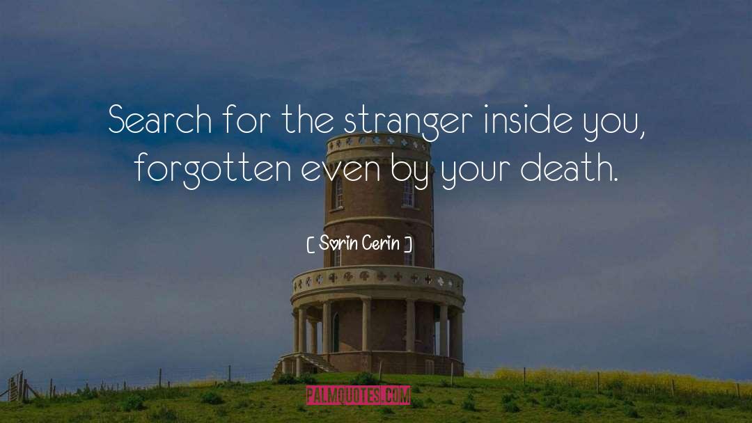 Sorin Cerin Quotes: Search for the stranger inside