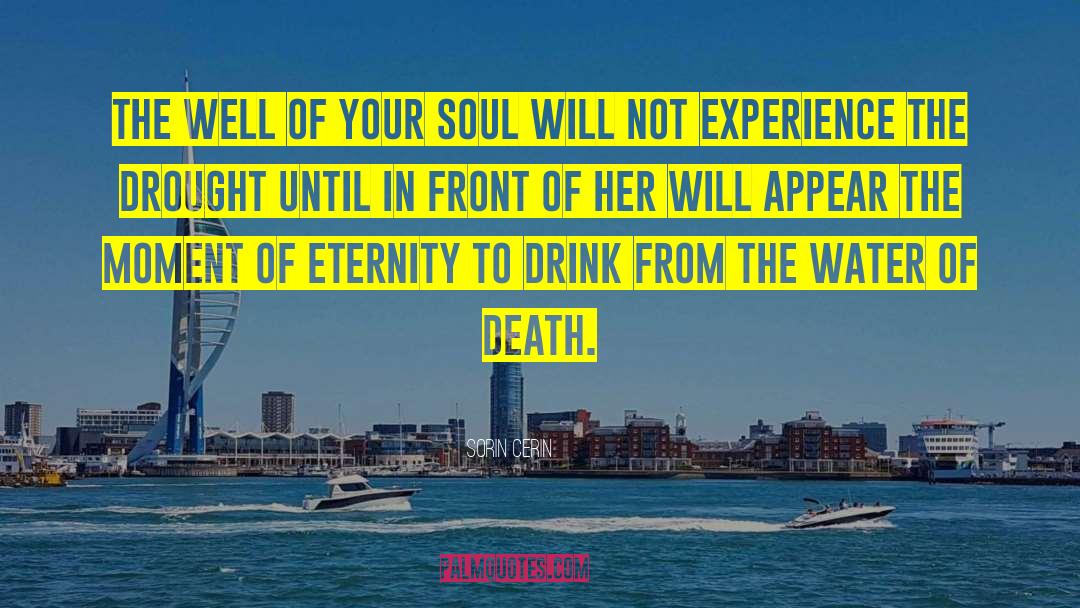 Sorin Cerin Quotes: The well of your soul