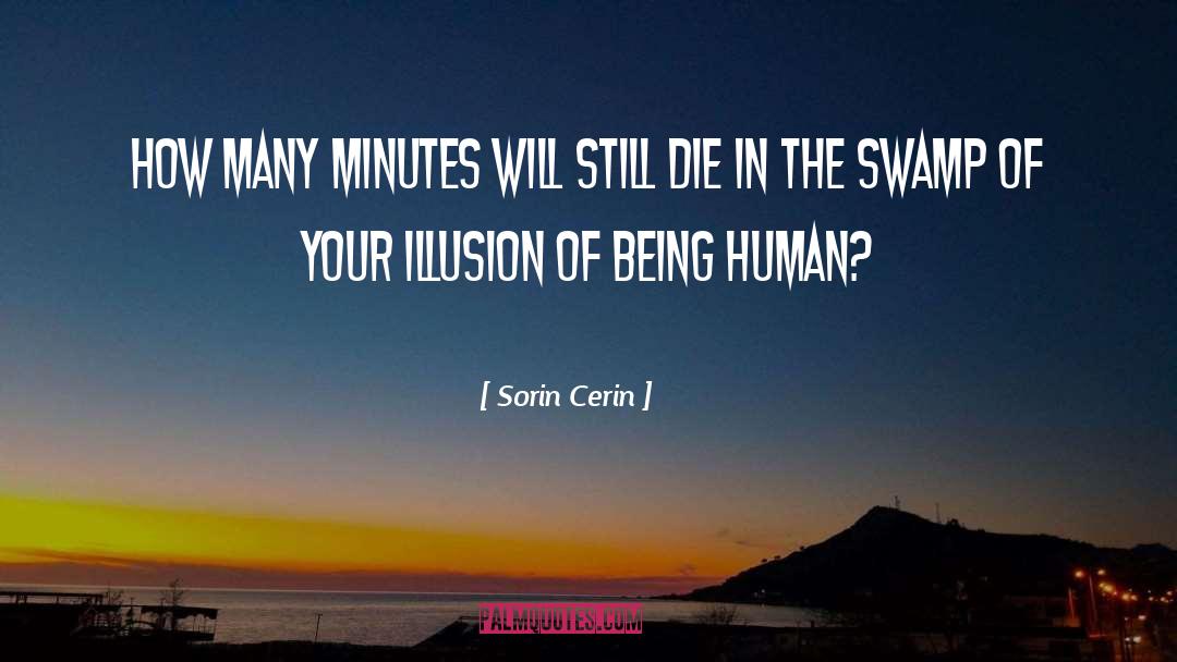 Sorin Cerin Quotes: How many minutes will still