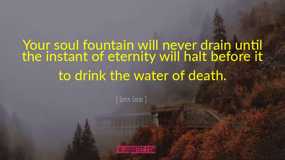 Sorin Cerin Quotes: Your soul fountain will never