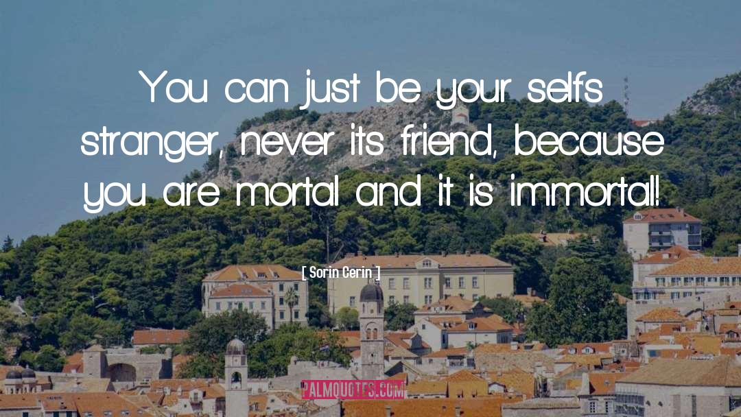 Sorin Cerin Quotes: You can just be your