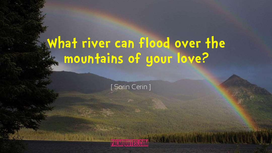 Sorin Cerin Quotes: What river can flood over